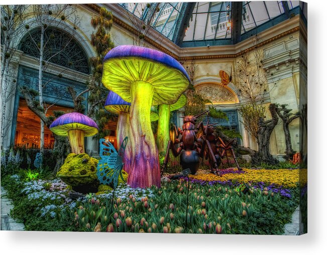 Architecture Acrylic Print featuring the photograph Spring Mushrooms by Stephen Campbell