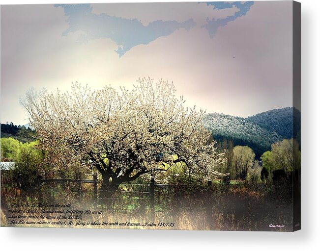 Landscape Acrylic Print featuring the photograph Spring Snow Inspiration by Anastasia Savage Ealy