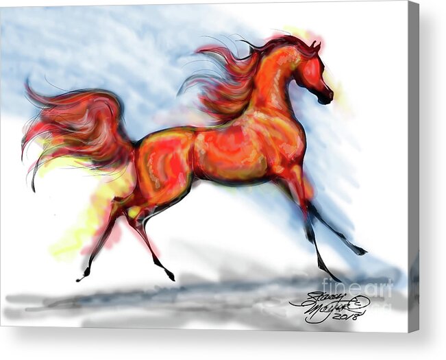 Arabian Horse Drawing Acrylic Print featuring the digital art Staceys Arabian Horse by Stacey Mayer