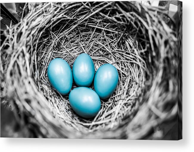 Funky Acrylic Print featuring the photograph Stand Out by Parker Cunningham