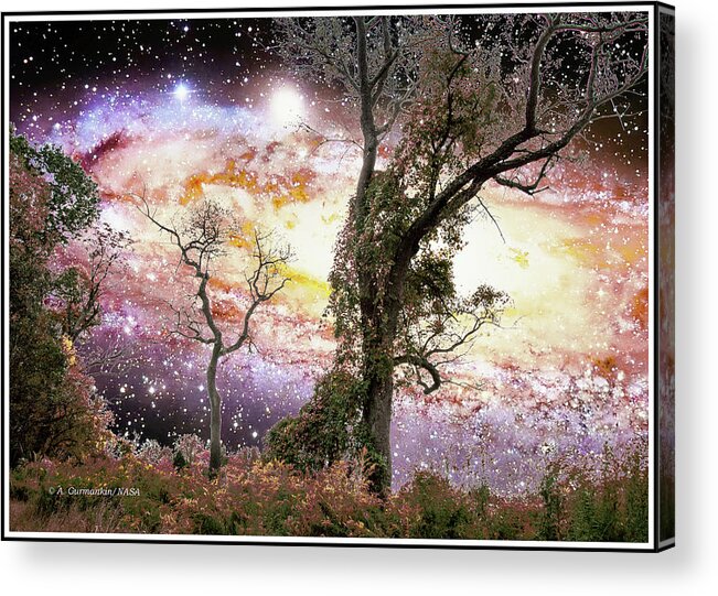 Stars Acrylic Print featuring the photograph Star Spangled Forest Clearing by A Macarthur Gurmankin
