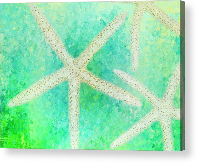 Starfish Acrylic Print featuring the photograph Starfish by Cindi Ressler