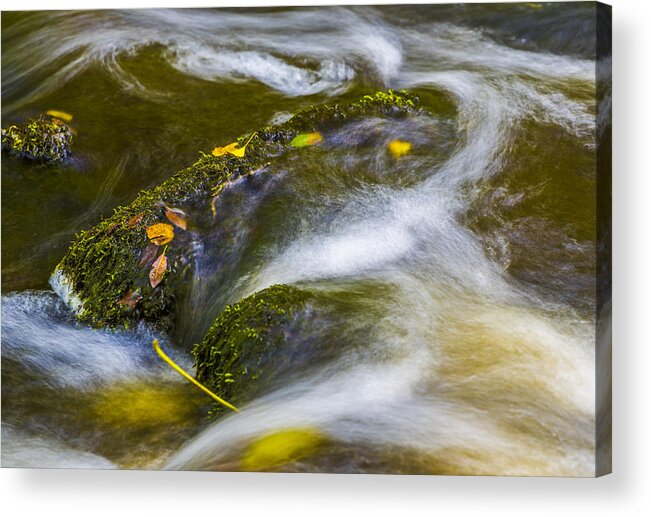 Water Acrylic Print featuring the photograph Steam by Elmer Jensen