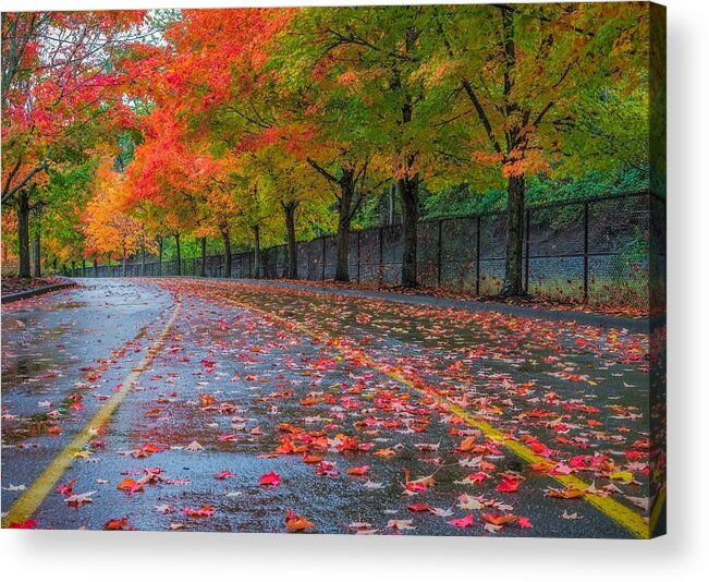 Maple Acrylic Print featuring the photograph Sugar Maple Drive by Ken Stanback