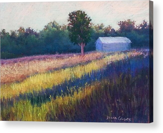 Landscape Acrylic Print featuring the pastel Summer Light by Diana Colgate