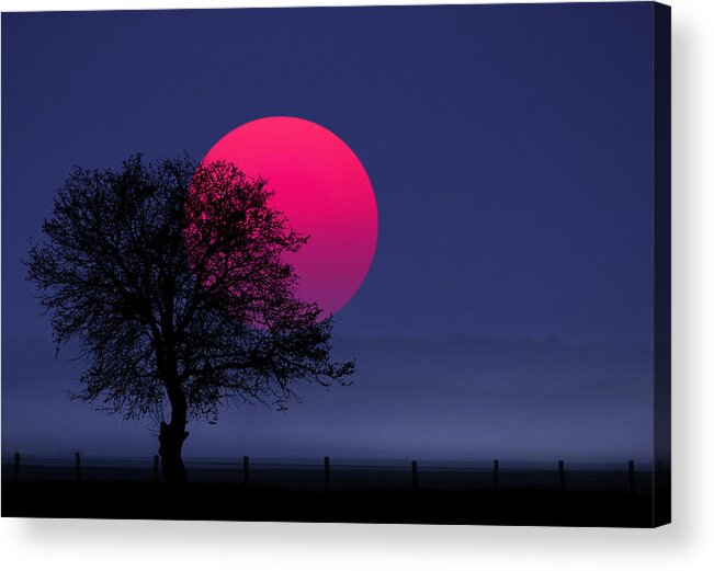 Silhouette Acrylic Print featuring the photograph Sunset magenta by Bess Hamiti