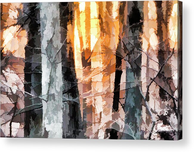 Trees Acrylic Print featuring the photograph Sunset through the trees by Karen Smale