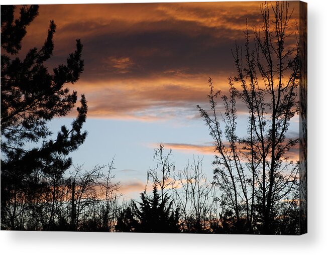 Sunset Acrylic Print featuring the photograph Sunset Thru The Trees by Rob Hans