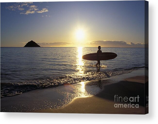 Ali O Neal Acrylic Print featuring the photograph Surfer At Sunrise by Ali ONeal - Printscapes