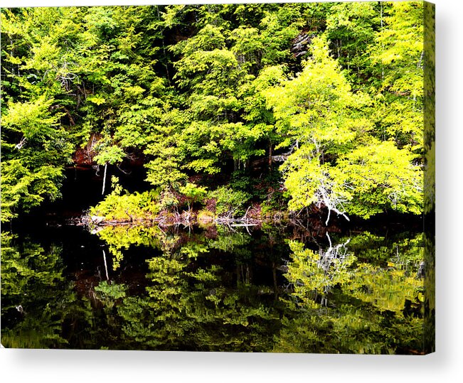  Water Reflection Acrylic Print featuring the photograph Surreal Springs Reflection by Stacie Siemsen