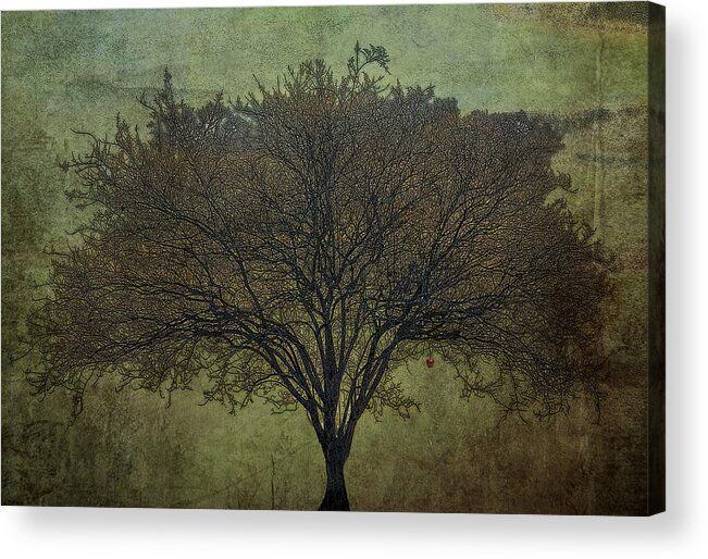 Eden Acrylic Print featuring the photograph Apple by Pete Rems