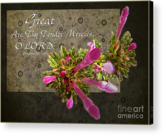 Nature Acrylic Print featuring the photograph Tender Mercies by Debbie Portwood
