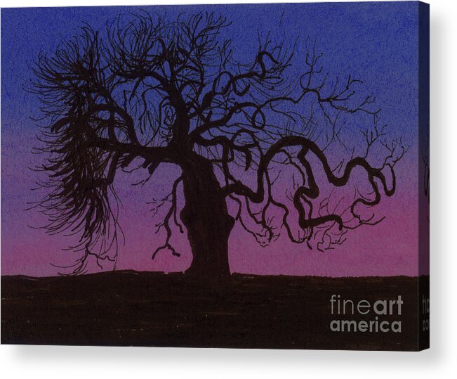 Tree Acrylic Print featuring the painting The Gnarly Tree by Jackie Irwin