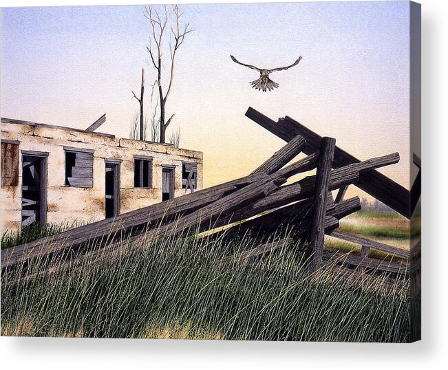 Summer Acrylic Print featuring the painting The Hawk by Conrad Mieschke