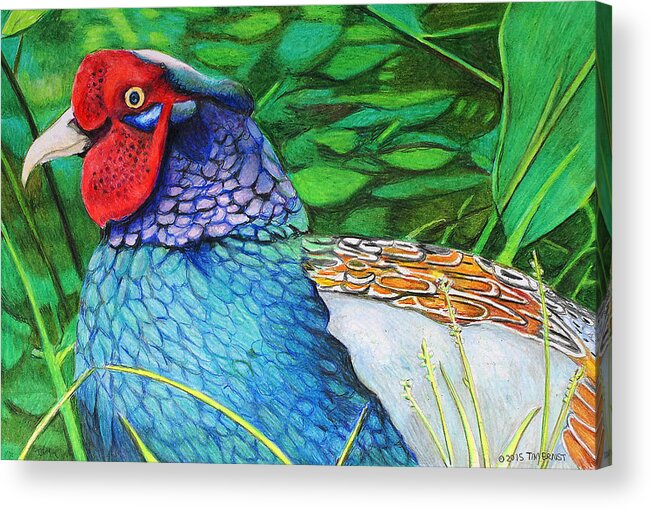 Fowl Acrylic Print featuring the drawing The Phesant king by Tim Ernst