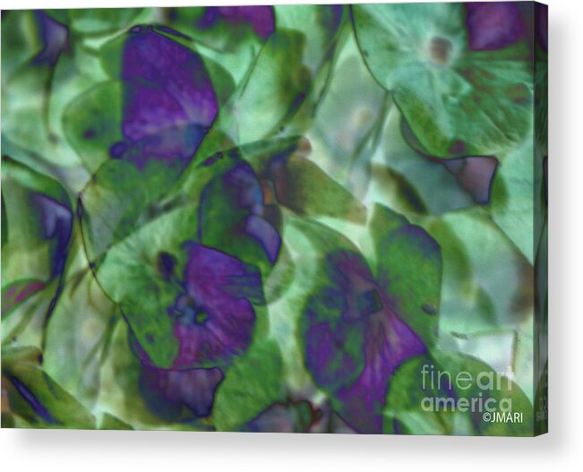 #floral #botanical #art #artist #print #photography #beauty #nature #flower #expressionism #purple #hydrangea #botanical #violet #digital #thesoulcries Acrylic Print featuring the digital art The Soul Cries by Jacquelinemari