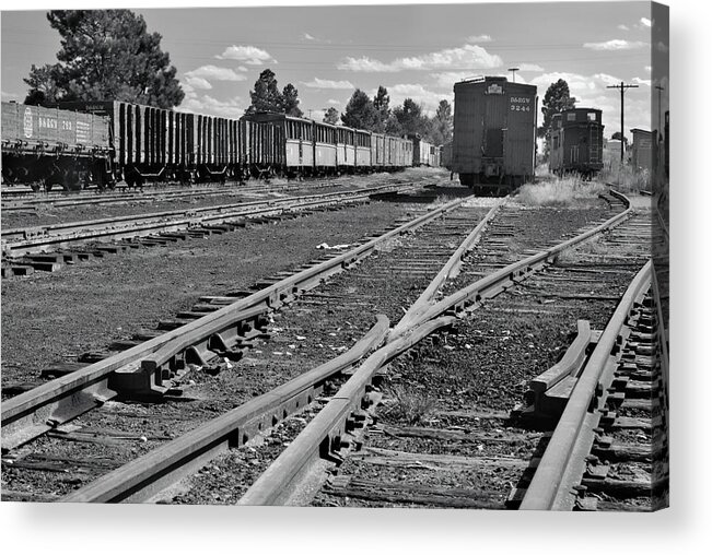 Trains Acrylic Print featuring the photograph The Yard by Ron Cline
