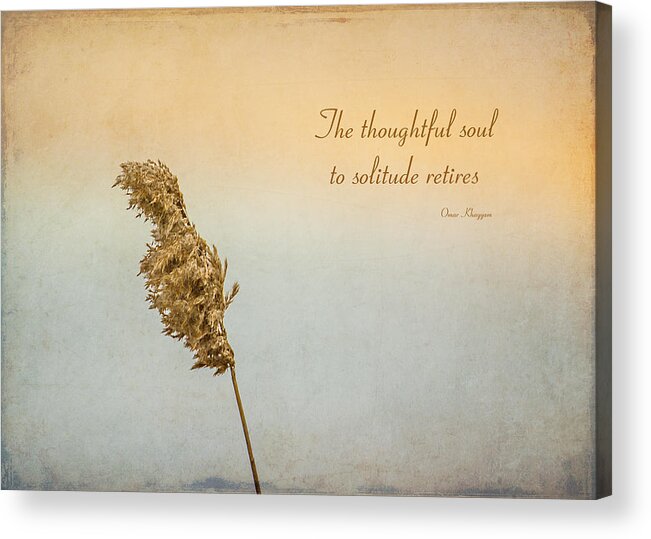 Reed Acrylic Print featuring the photograph Thoughtful Soul by Cathy Kovarik