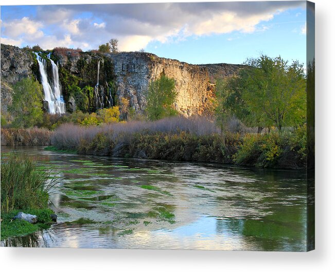 Thousand Springs State Park Acrylic Print featuring the photograph Canyon Autumn by Ed Riche