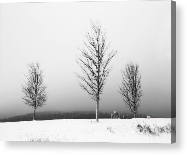 Black And White Winter Landscape Acrylic Print featuring the photograph Three Trees in Winter by Brooke T Ryan