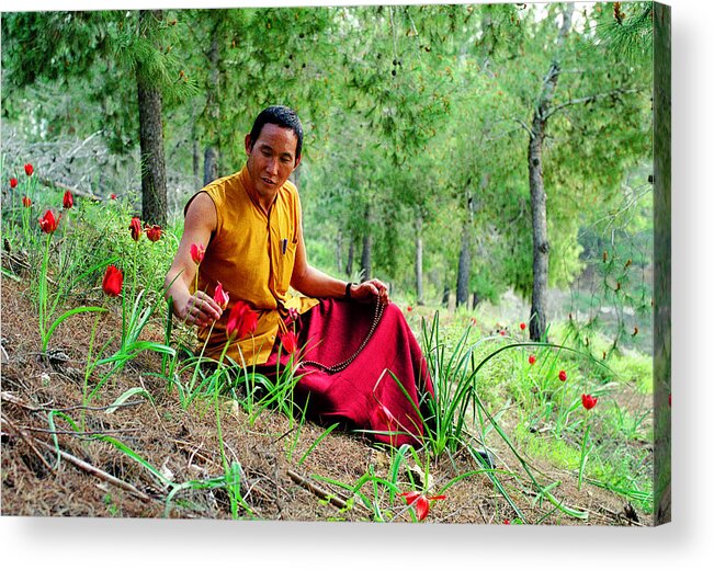 Tibetan Acrylic Print featuring the photograph Tibetan doctor in Lahav forest by Dubi Roman