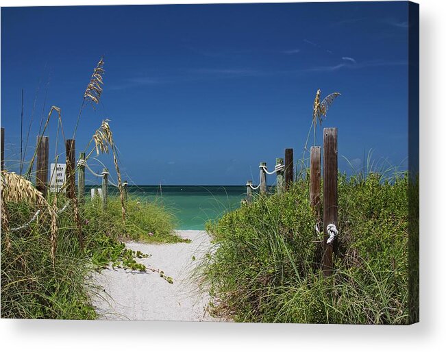 Beach Acrylic Print featuring the photograph Timeless Scandal by Michiale Schneider