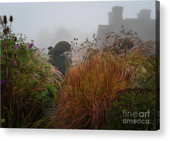 Topiary Acrylic Print featuring the photograph Topiary Peacocks in the Autumn Mist, Great Dixter 2 by Perry Rodriguez