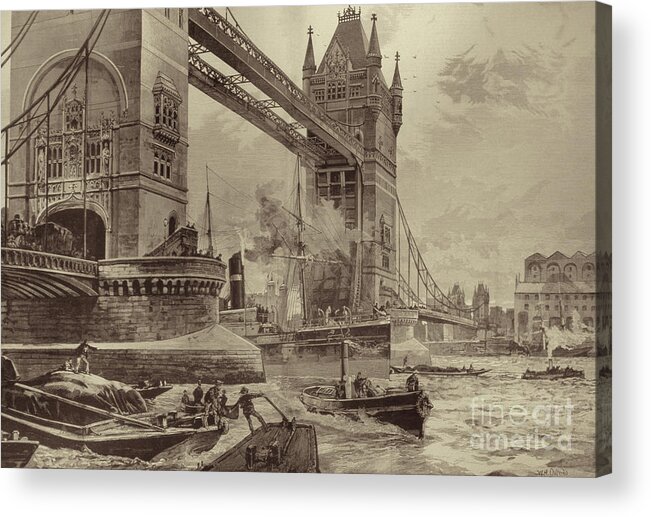 Ship Acrylic Print featuring the drawing Tower Bridge by William Heysham Overend