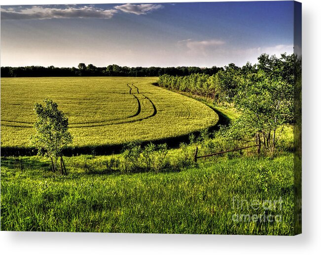 Landscape Acrylic Print featuring the photograph Tracks by Fred Lassmann