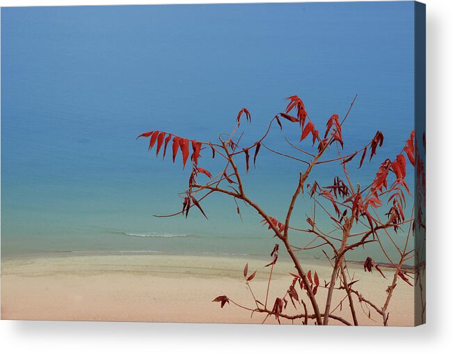 Landscape Acrylic Print featuring the photograph Tranquil Blue by Arthur Fix