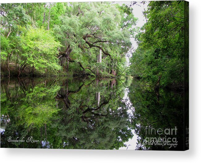 Tranquility Acrylic Print featuring the photograph Tranquility by Barbara Bowen