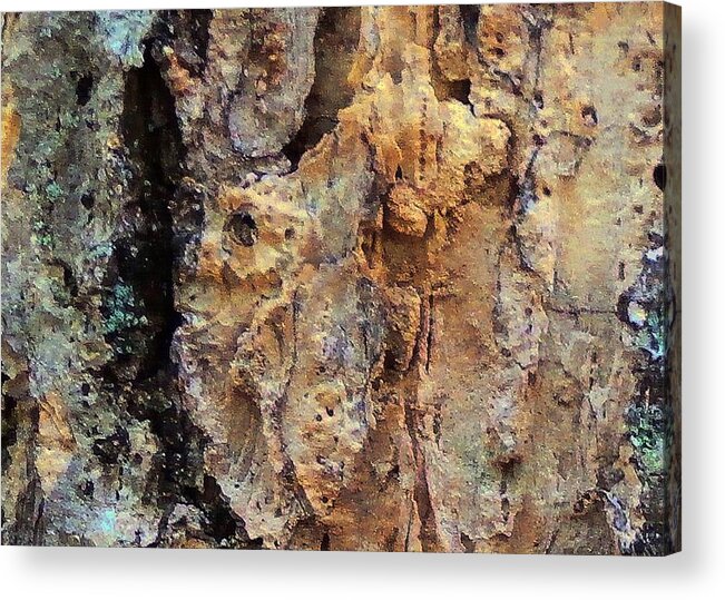 Tree Bark Acrylic Print featuring the photograph Tree Bark by Wolfgang Schweizer