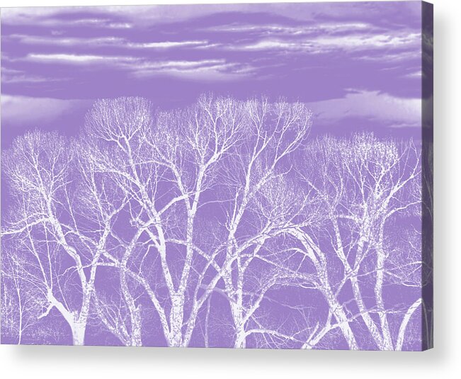 Tree Acrylic Print featuring the photograph Trees Silhouette Purple by Jennie Marie Schell