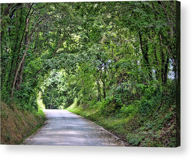 Tree Acrylic Print featuring the photograph Tunnel of Trees by Cricket Hackmann
