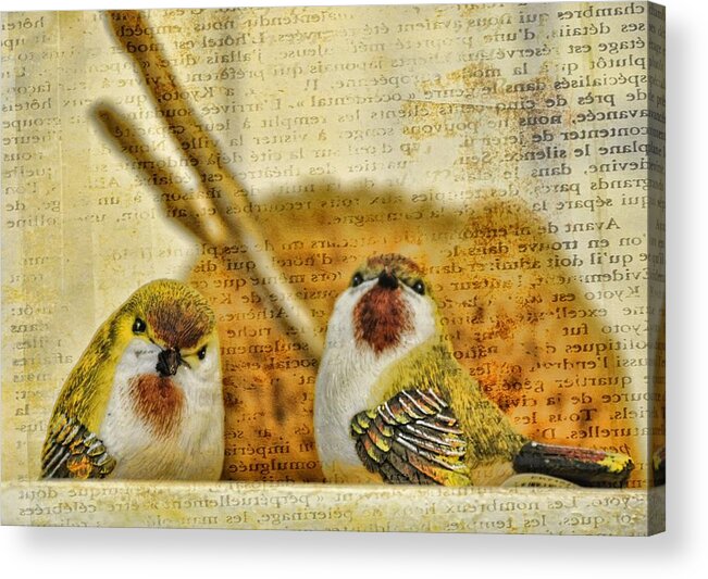 Birds Acrylic Print featuring the photograph Two Little Birds by Jan Amiss Photography