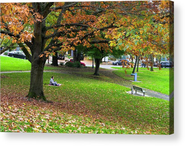 Landscapes Acrylic Print featuring the photograph Under the Shade Tree by Steven Clark