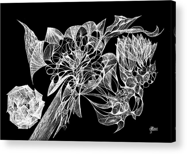 Botanic Botanical Blackandwhite Black And White Zentangle Zen Tangle Abstract Acceptance Circles Comfort Comforting Detailed Drawing Dreams Earth Acrylic Print featuring the drawing From The Ethers... by Charles Cater