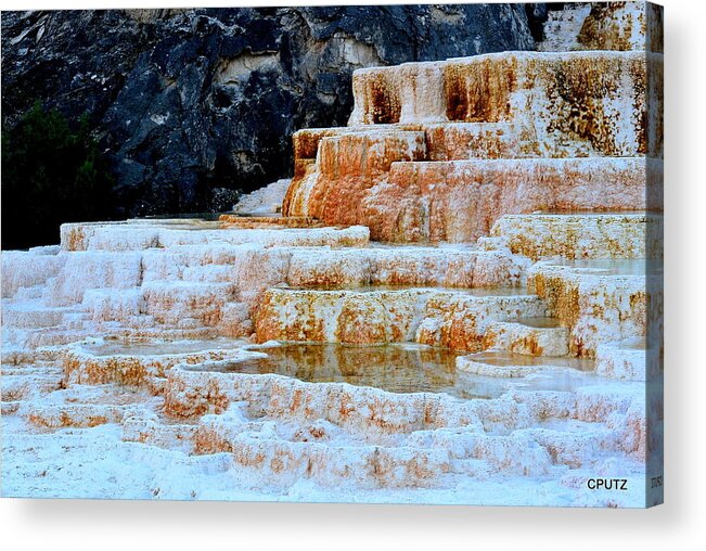 Yellowstone National Park Acrylic Print featuring the photograph Upper Terraces by Carrie Putz