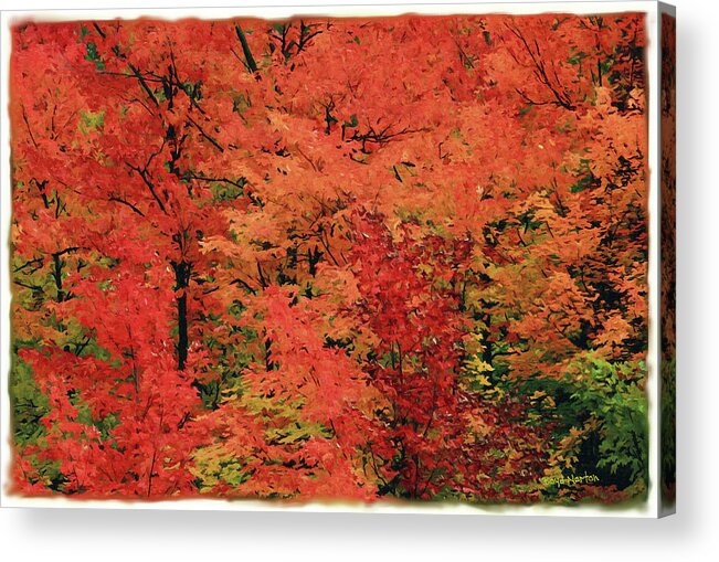 Landscape Acrylic Print featuring the mixed media Vermont autumn by Boyd Norton