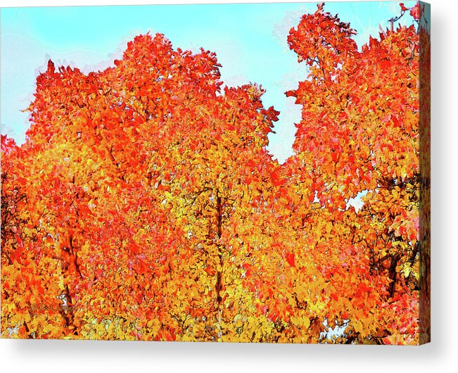 Trees Acrylic Print featuring the digital art Vibrant Autumn Trees by Kae Cheatham