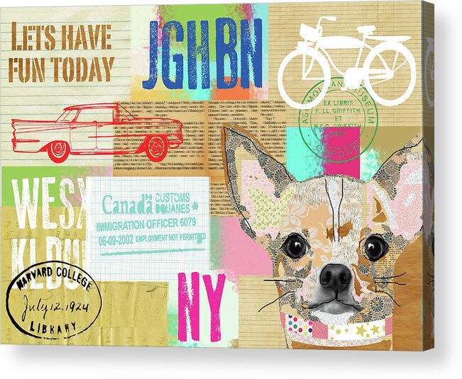 Vintage Collage Chihuahua Acrylic Print featuring the mixed media Vintage Collage Chihuahua by Claudia Schoen