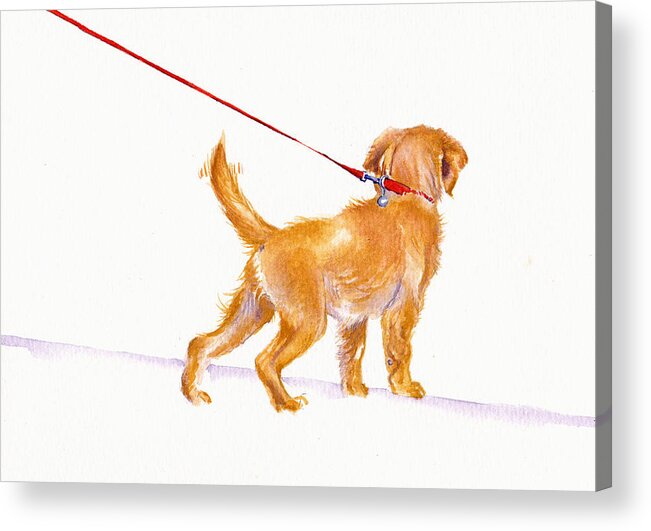 Dogs Acrylic Print featuring the painting Walkies - Labrador Puppy by Debra Hall