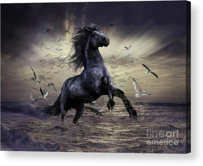 Water Horse Acrylic Print featuring the mixed media Racing before the Storm by Shanina Conway