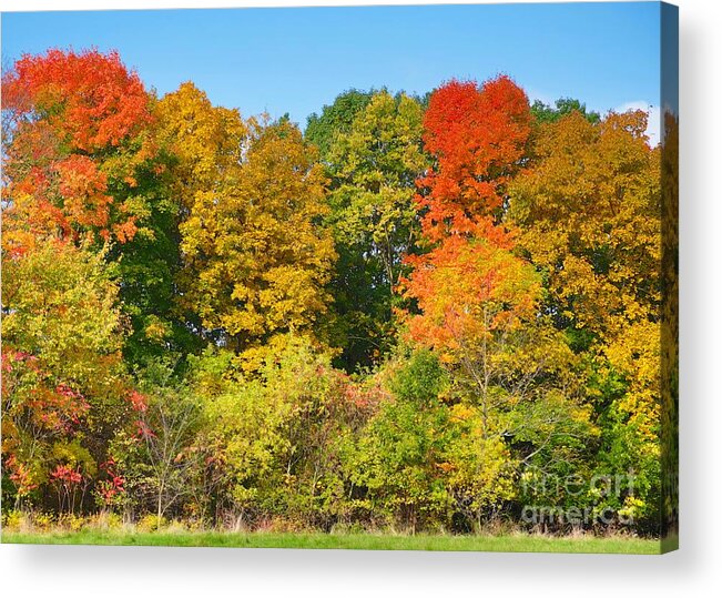 Fall Art Acrylic Print featuring the photograph What a show by Robert Pearson