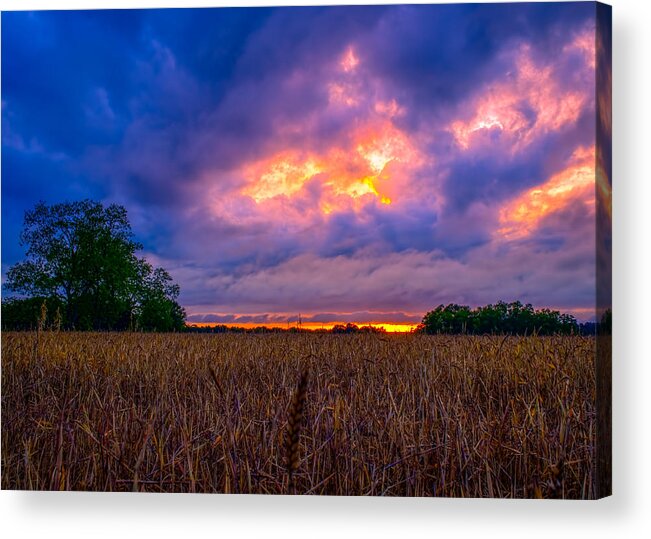 Sunset Acrylic Print featuring the photograph Wheat Field Sunset by Brad Boland