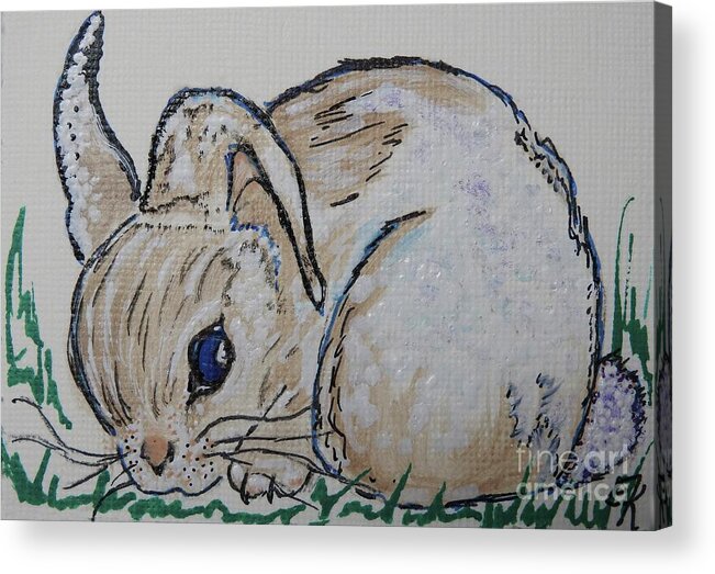 Rabbit Acrylic Print featuring the painting White Cotton-Tail Rabbit #1003 by Ella Kaye Dickey