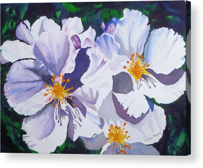 Floral Acrylic Print featuring the painting Wild Roses by Susan Bauer
