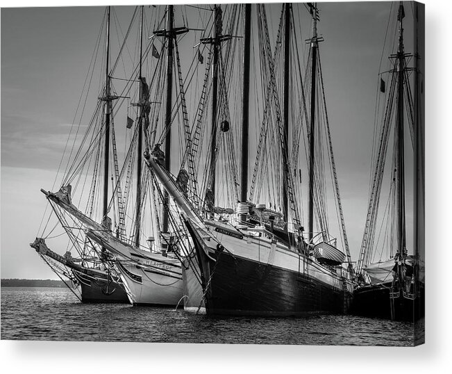 Windjammers Acrylic Print featuring the photograph Windjammer Fleet by Fred LeBlanc