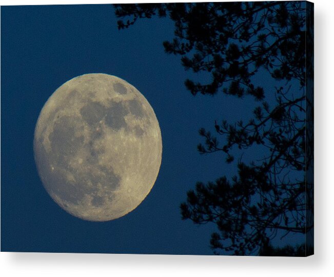 Moon Acrylic Print featuring the photograph Winter Moon by Randy Hall