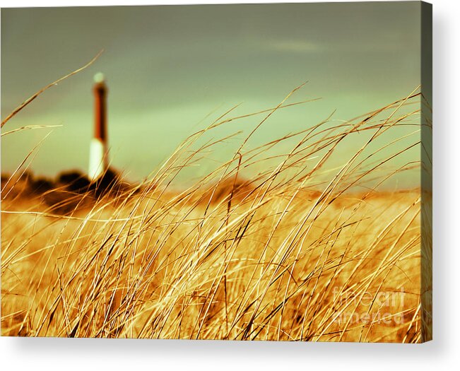 Lighthouse Acrylic Print featuring the photograph Winter Shore Breeze by Dana DiPasquale